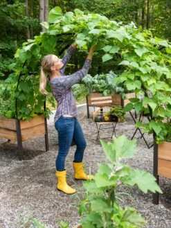 2’ X 8’ Arch Trellis For Planter Boxes 15 2’ X 8’ Arch Trellis For Planter Boxes -GardenJoy Shop 8610798 050 tif