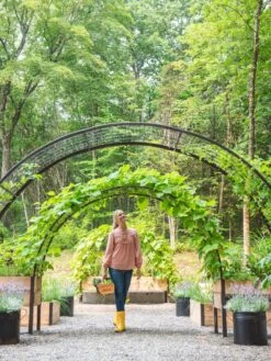 2’ X 8’ Arch Trellis For Planter Boxes 14 2’ X 8’ Arch Trellis For Planter Boxes -GardenJoy Shop 8610798 071 tif