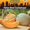 Hales Best Cantaloupe Organic Seeds -GardenJoy Shop 8611872 02v hales best cantaloupe organic seeds