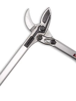 Castellari Long-Handled Anvil Lopper 11 Castellari Long-Handled Anvil Lopper -GardenJoy Shop 8611970 007 tif