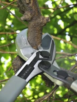 Front Page 19 Front Page -GardenJoy Shop 8611970 01V tif