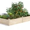 Pine Raised Garden Beds, 4'x8' -GardenJoy Shop 8612238 02V jpg