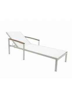 Braylee Reclining Chaise Lounge 17 Braylee Reclining Chaise Lounge -GardenJoy Shop 8612262 08v