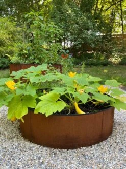 Birdies™ Corten Steel Round Raised Beds 11 Birdies™ Corten Steel Round Raised Beds -GardenJoy Shop 8612422 0484 tif