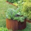Birdies™ Corten Steel Round Raised Beds -GardenJoy Shop 8612423 1537 tif
