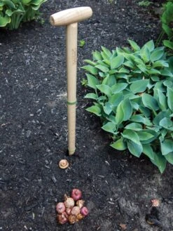 Wicked Big Dibber 10 Wicked Big Dibber -GardenJoy Shop 8612667 0028