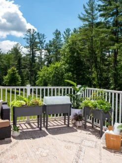 Self-Watering Standing Salad Planter With Cloche -GardenJoy Shop 8612702 2002 tif