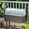 Self-Watering Standing Salad Planter With Cloche 1 Self-Watering Standing Salad Planter With Cloche -GardenJoy Shop 8612702 2032 tif