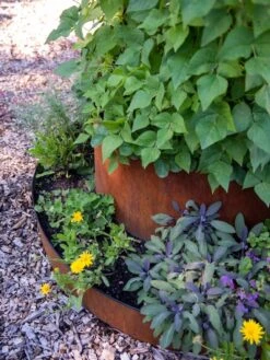 Birdies™ Corten Steel Tiered Round Raised Bed Kit, Tall 8 Birdies™ Corten Steel Tiered Round Raised Bed Kit, Tall -GardenJoy Shop 8613245 0195