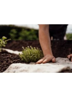 Hortiwool ®, Starter Garden Pad -GardenJoy Shop 8613263 09v