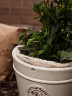 Hortiwool ®, 5 Pad Pack 16 Hortiwool ®, 5 Pad Pack -GardenJoy Shop 8613263 17v