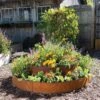 Birdies™ Corten Steel Round Raised Bed, Large, Low 2 Birdies™ Corten Steel Round Raised Bed, Large, Low -GardenJoy Shop 8613290 0099 birdies corten steel tiered round raised bed kit