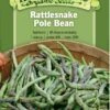 Rattlesnake Pole Bean Organic Seeds 2 Rattlesnake Pole Bean Organic Seeds -GardenJoy Shop 8613650 01v rattlesnake pole bean