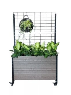 Mobile Deep Trough Planter With Trellis 9 Mobile Deep Trough Planter With Trellis -GardenJoy Shop 8614265 03V